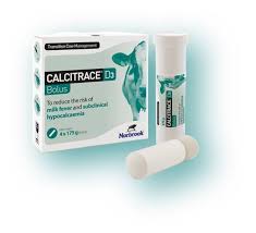 Calcitrace D3 Bolus 4 x 175g